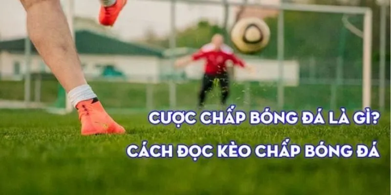 Cược Chấp Là Gì? Một Số Kèo Chấp Hot Nhất W88 1 Cược chấp là gì?